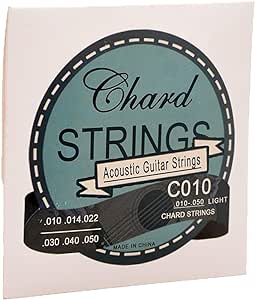[384525389379] chard electric guitar strings E010